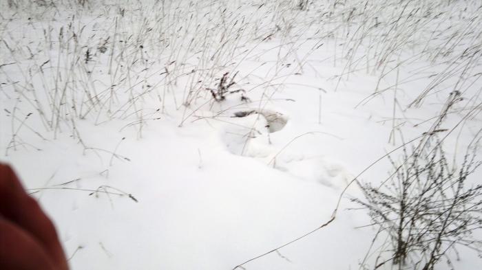 В окопе)