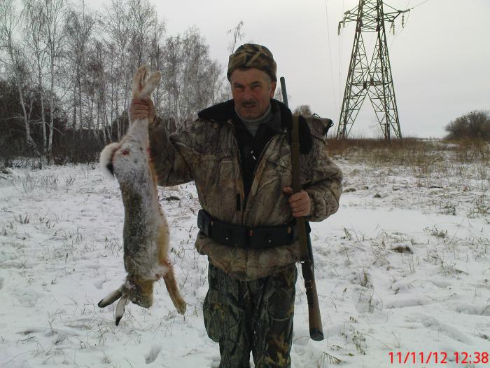 Трудовой зайчик