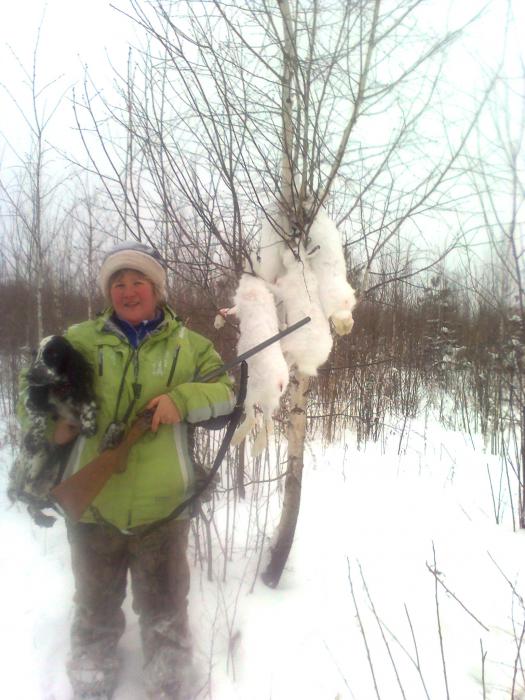 Последняя наша осенняя охота