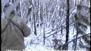 ВСЛ
