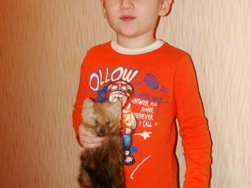 дождался папу с охоты 