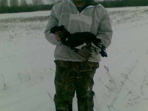 1-й