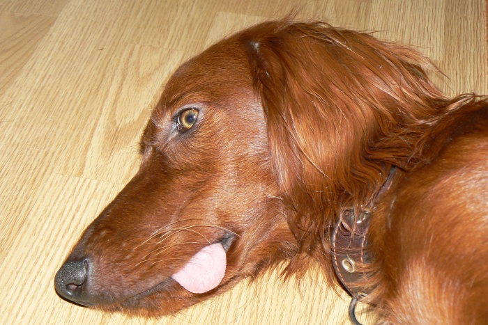 ;-P