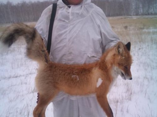 Рыжая!! 10.11.12г.