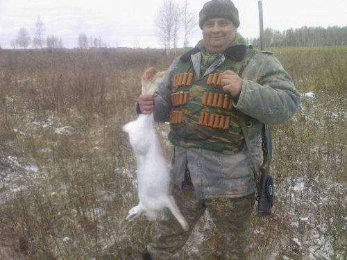 косулю встретиш чаще чем его