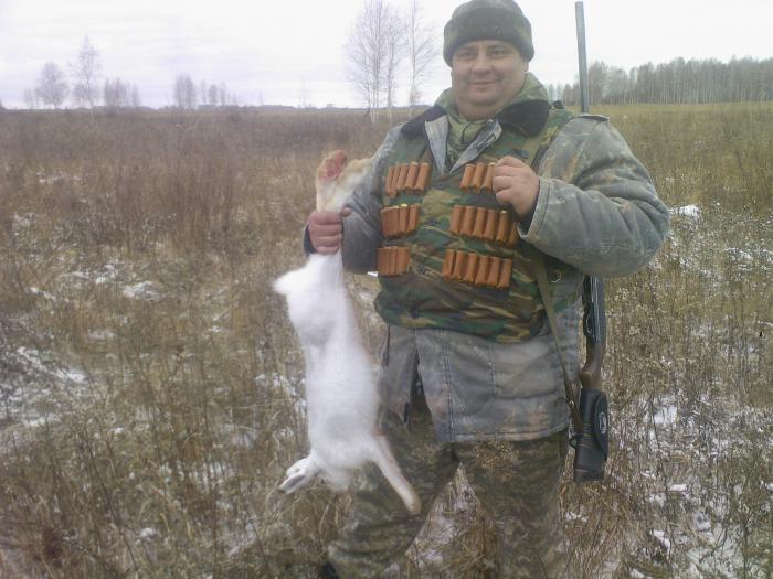 косулю встретиш чаще чем его