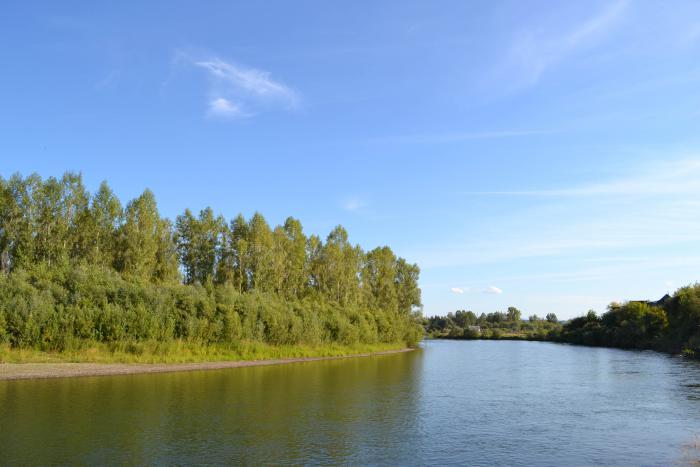 р. Оя, Ермаковский район