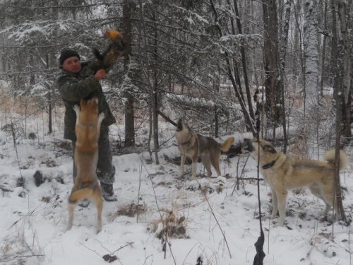 Удачное начало дня!