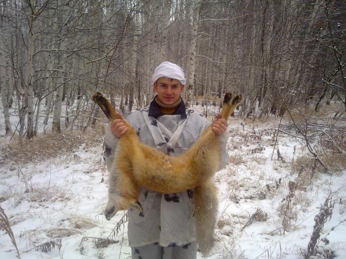 молодой лисовин