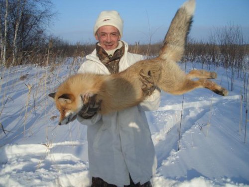 Лисовин...