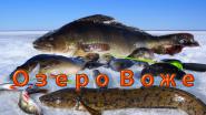 Озеро Воже. Апрель.