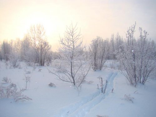 Ох и тяжёлый снежок