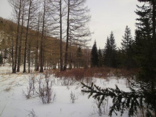 Зима в горах