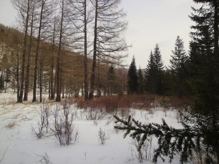 Зима в горах