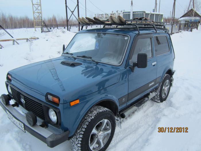 ласточка 