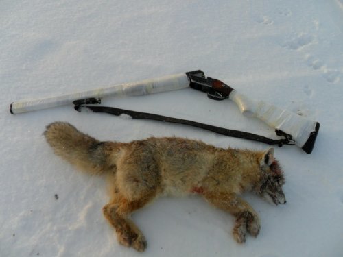 Утро! (30.12.12)