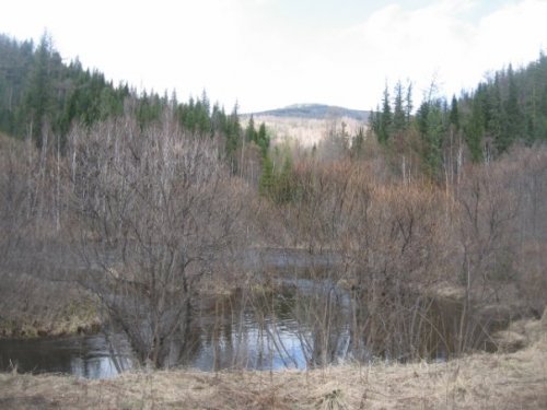 Река Мина. 