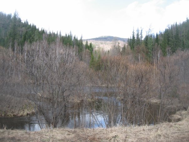 Река Мина. 