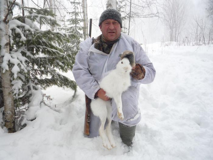На охоте