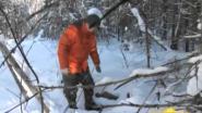 Охота капканом