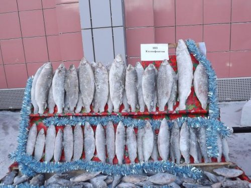 По всему городу продают на таких лотках