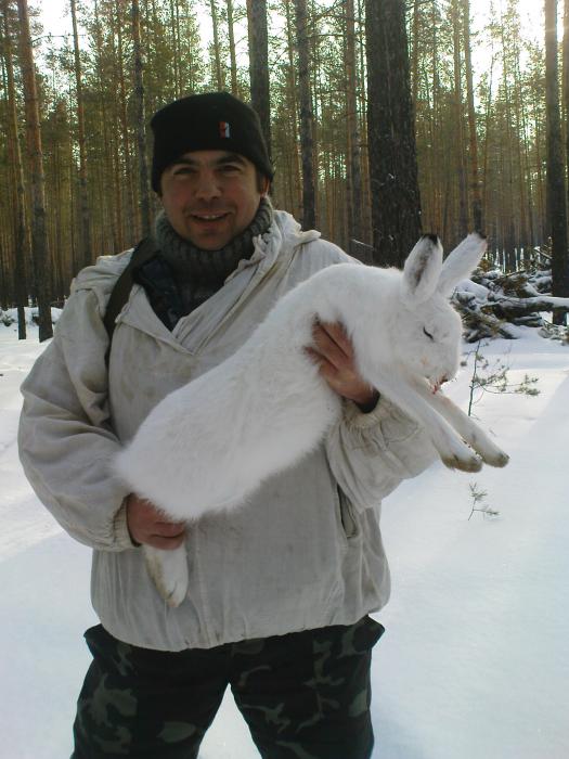 Беляк