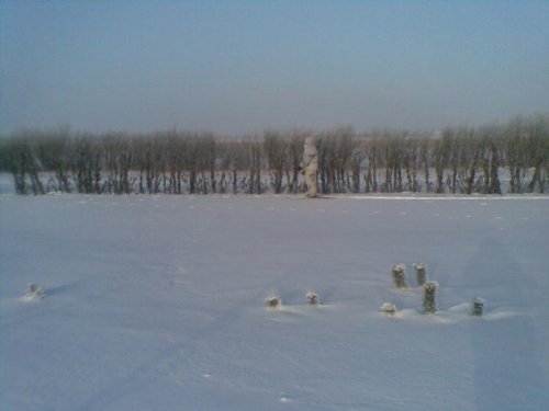 Проверяем фермерский сад на наличие зайца.