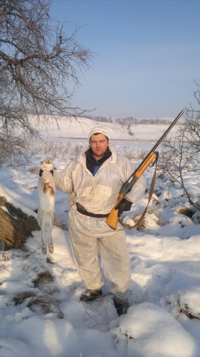 тропили