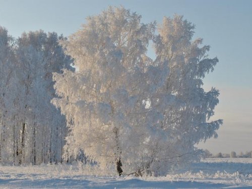 Укуталась