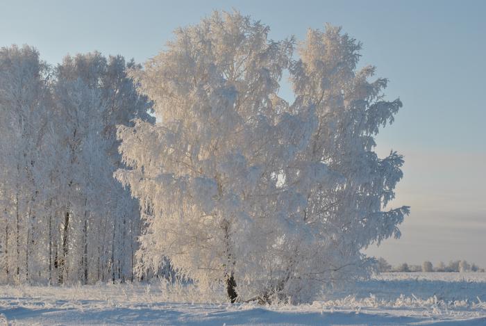 Укуталась