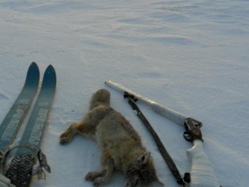 На рассвете... (30.12.12)