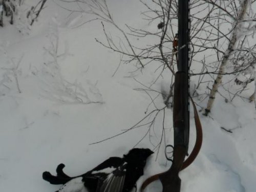 На лунках...