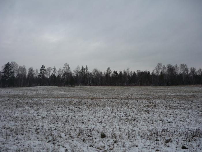 прекрасная пора