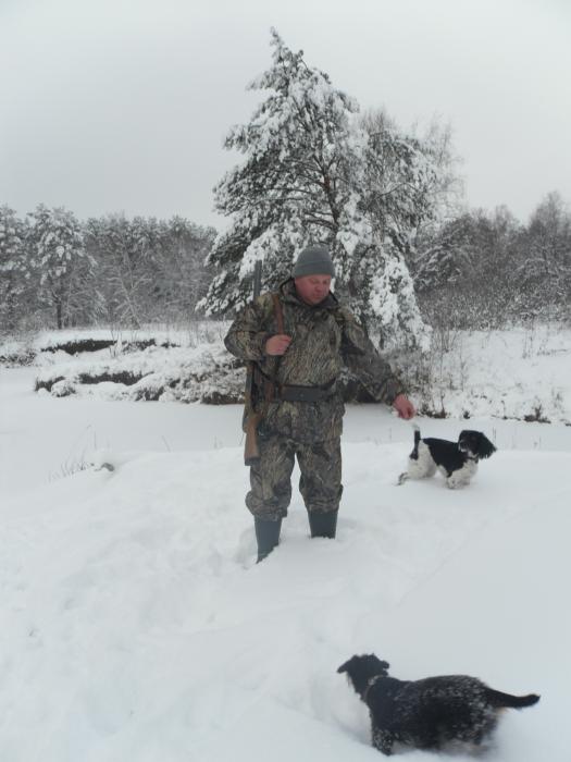 В поиске зайца.