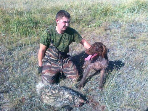 осений теплый день