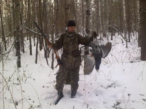 глухарь