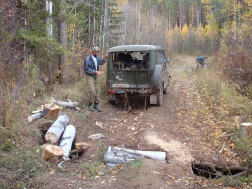 Колесо провалилось где лежат поленья из осины