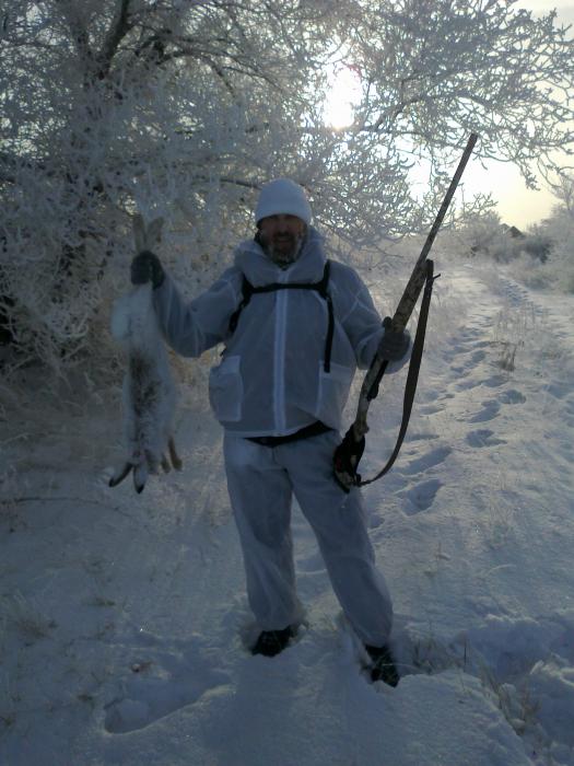 Мороз и солнце....