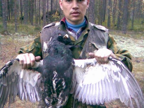 Трофей