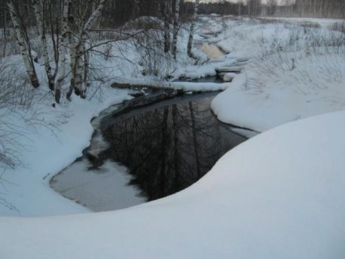 Здесь была тайга.