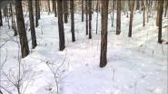 Зимний учет,  день третий