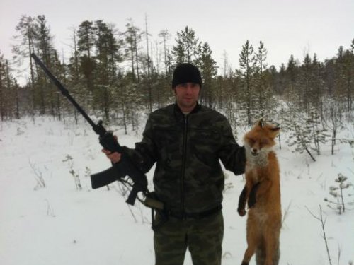 Лисовин