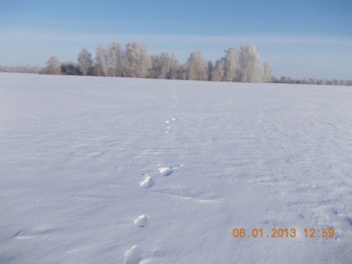 так и убежал