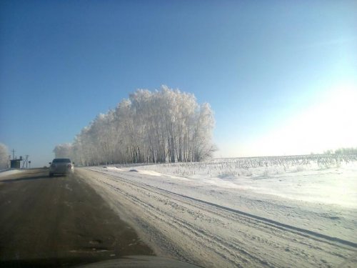 Березки