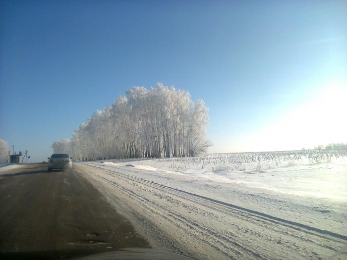 Березки