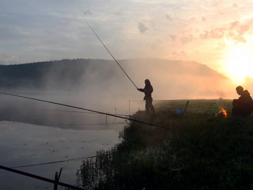 Утро в пойме Енисея