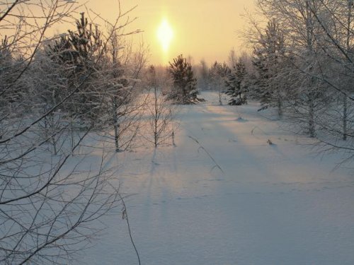 Морозно