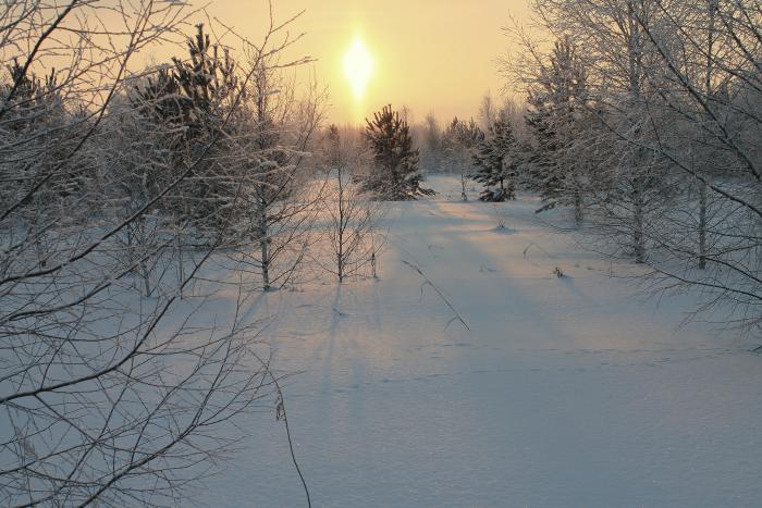 Морозно