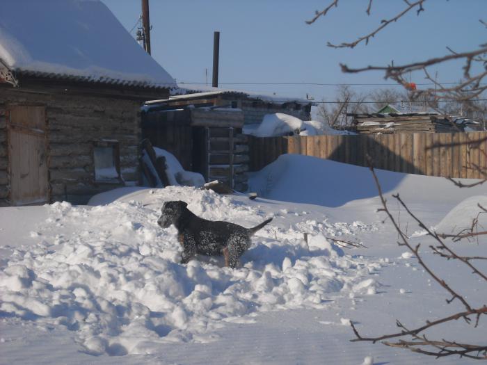 где оно 