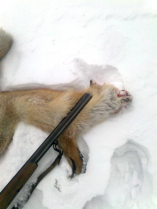 на манок!